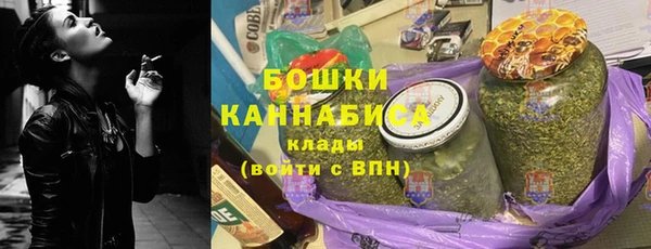 бошки Ельня