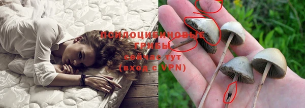 мяу мяу кристалл Белая Холуница